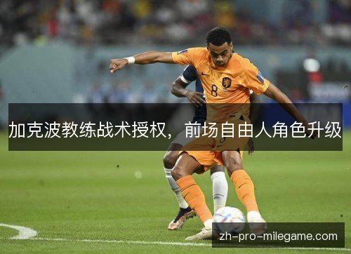 加克波教练战术授权,前场自由人角色升级 加克波教练战术授权,前场自由人角色升级